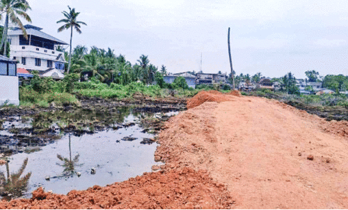 ഇടക്കൊച്ചിയിൽ രണ്ടരയേക്കർ തണ്ണീർത്തടം നികത്തുന്നു