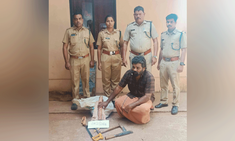 ച​ന്ദ​ന​ത്തടിക​ളു​മാ​യി ഒ​രാ​ൾ അ​റ​സ്റ്റി​ൽ