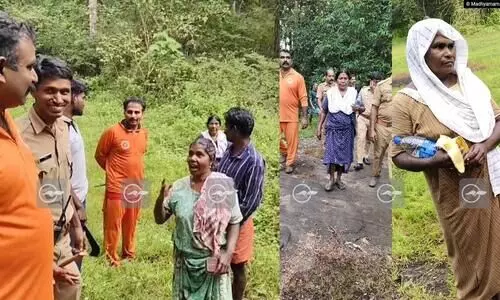 ആനക്കൂട്ടം ഞങ്ങളെ ഓടിച്ചു, തൊട്ടടുത്ത പാറപ്പുറത്ത് ഓടിക്കയറി -വനത്തിൽനിന്ന് രക്ഷപ്പെട്ട സ്ത്രീകൾ