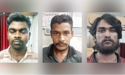 35 കി​ലോ ക​ഞ്ചാ​വു​മാ​യി മൂ​ന്നുപേ​ർ പി​ടി​യി​ൽ