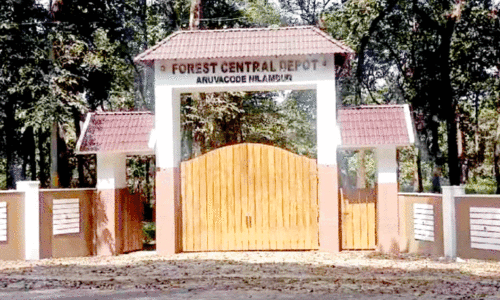 തടി ഡിപ്പോകളിൽ നിയന്ത്രണം; മരവ്യാപാരികളുടെ പരാതിയിൽ അന്വേഷണം തുടങ്ങി തടി ഡിപ്പോകളിൽ നിയന്ത്രണം; മരവ്യാപാരികളുടെ പരാതിയിൽ അന്വേഷണം തുടങ്ങി