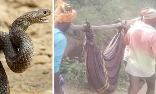 പാമ്പ് കടിയേറ്റ 13കാരിയെ റോഡില്ലാത്തതിനാൽ ചുമന്ന് നടന്നത് എട്ടു കിലേമീറ്റർ; ഒടുവിൽ ദാരുണാന്ത്യം