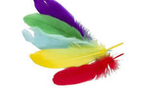 feather