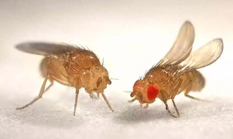 തിരുത്ത്​