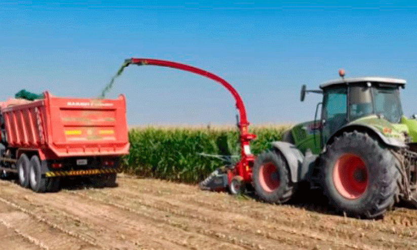 maliha farm maliha farm