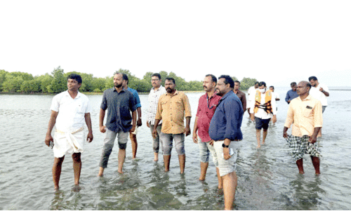 സന്ദർശകരുടെ പറുദീസയാകാൻ മേരി ലാൻഡ് ഒരുങ്ങുന്നു
