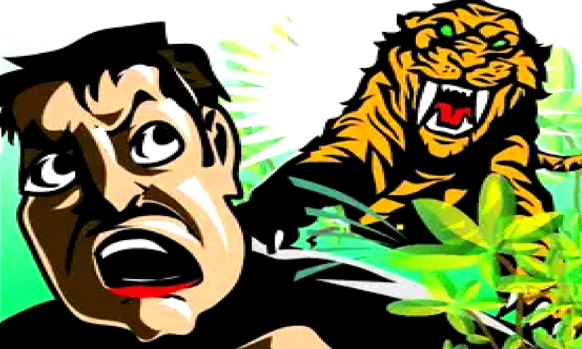 Human-wildlife conflict Human-wildlife conflict