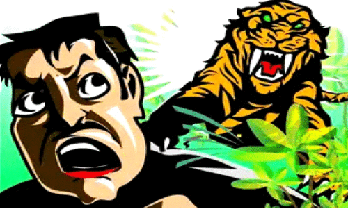 Human-wildlife conflict