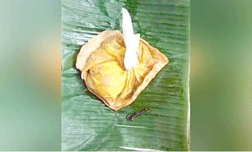 എസ്.എ.ടി കാന്റീനില്‍നിന്ന്​ വാങ്ങിയ ഭക്ഷണത്തില്‍ പുഴുവെന്ന്