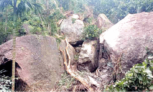 അമ്പൂരിയില്‍ മലയിടിച്ചില്‍; രണ്ടേക്കറോളം കൃഷി നശിച്ചു