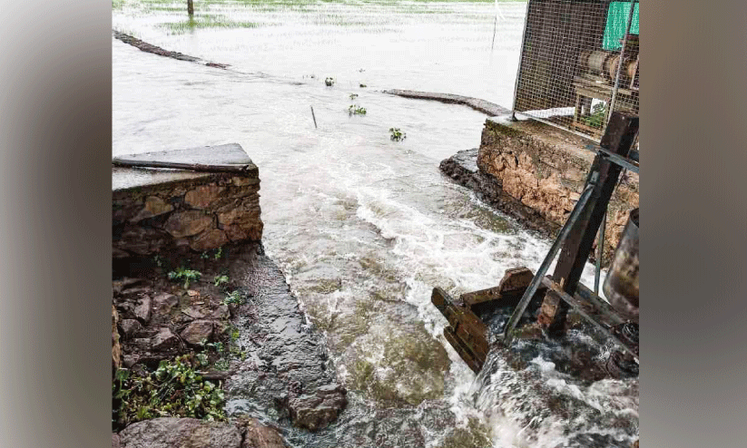 Bund collapsed Bund collapsed