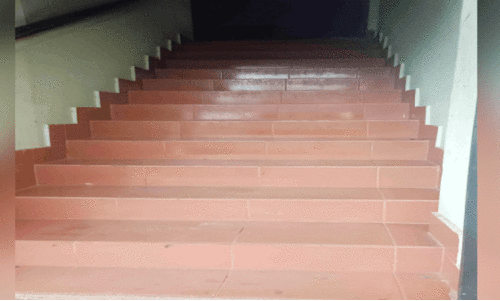 ഭി​ന്ന​ശേ​ഷി ച​ട്ട​ങ്ങ​ൾ പാ​ലി​ക്കാ​തെ ത​ദ്ദേ​ശ ഓ​ഫി​സു​ക​ൾ