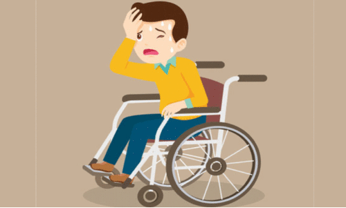 ഭിന്നശേഷി സൗഹൃദം അകലെ; ശാരീരിക വെല്ലുവിളി നേരിടുന്നവർ ദുരിതത്തിൽ