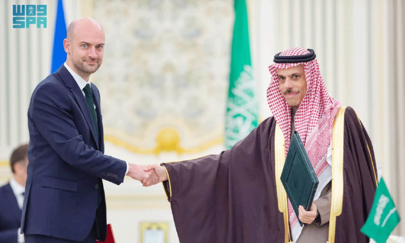 Saudi Crown Prince-French President Meeting