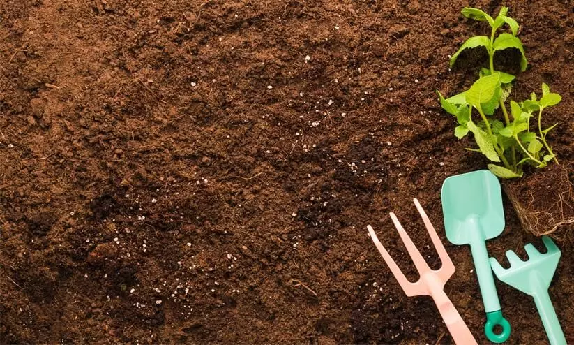 World Soil Day World Soil Day