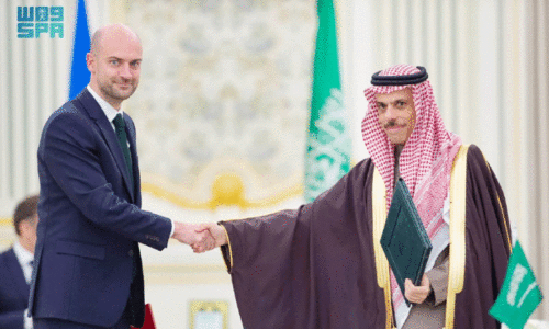 Saudi Crown Prince-French President Meeting
