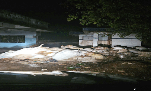 ജീവനക്കാർ ശേഖരിക്കുന്ന മാലിന്യം മാർക്കറ്റിൽ തള്ളുന്നു ജീവനക്കാർ ശേഖരിക്കുന്ന മാലിന്യം മാർക്കറ്റിൽ തള്ളുന്നു