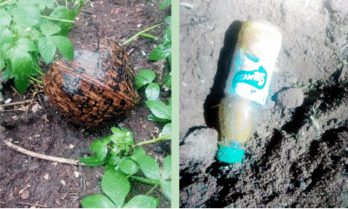 ഹോസ്ദുർഗ് ആവിയിൽ ‘കൂടോത്ര വിവാദം’