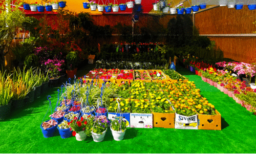 Souq Waqif flower fair
