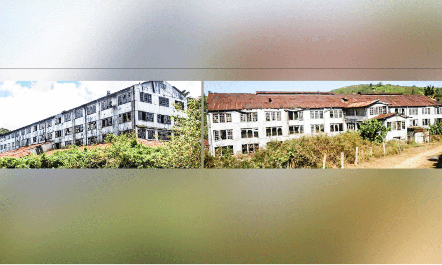 ടീ കമ്പനി തുറക്കൽ സാധ്യത മങ്ങി; ചീന്തലാർ, ലോൺട്രി ഫാക്ടറികൾ പൊളിച്ചുവിൽക്കാൻ നടപടി