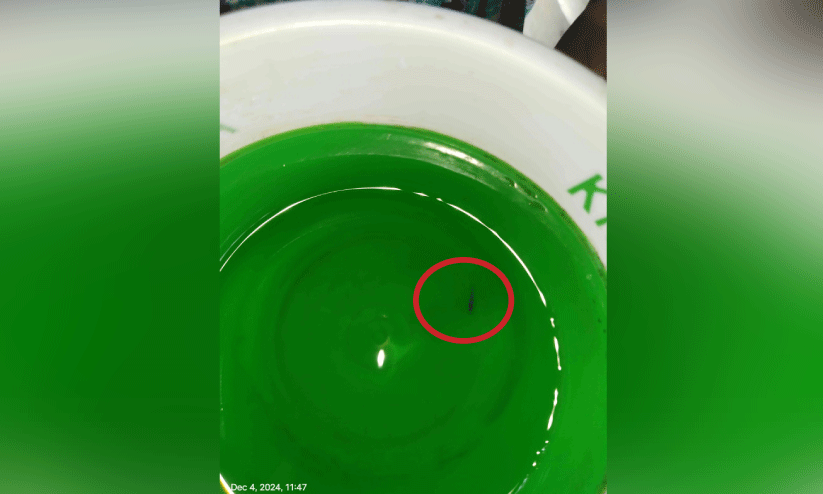 കു​ടി​വെ​ള്ള പൈ​പ്പ് ലൈ​നി​ലൂ​ടെ എ​ത്തി​യ​ത് ജീ​വ​നു​ള്ള മ​ത്സ്യം