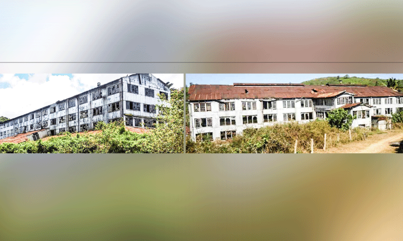 ടീ കമ്പനി തുറക്കൽ സാധ്യത മങ്ങി; ചീന്തലാർ, ലോൺട്രി ഫാക്ടറികൾ പൊളിച്ചുവിൽക്കാൻ നടപടി