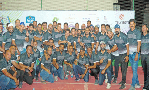 Tele Boys Box Cricket