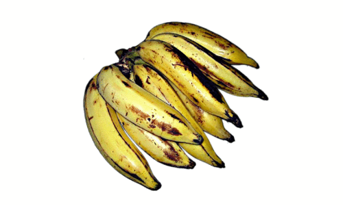 കുതിച്ചുയർന്ന് നേന്ത്രൻ ചെറുകായകൾക്ക് വിലയിടിവ്