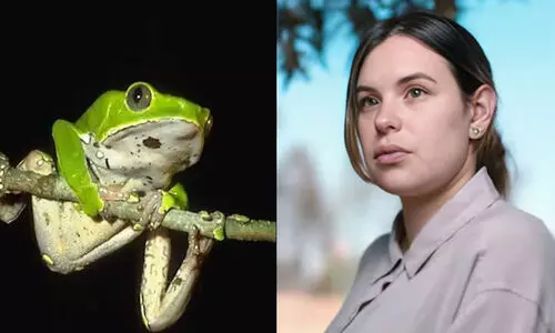 Marcela Alcázar Rodríguez