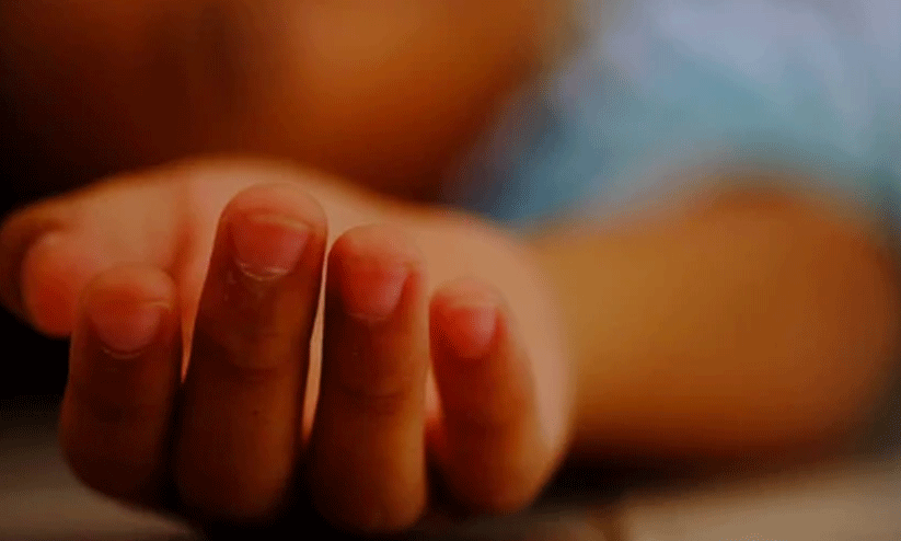 ഇരുമ്പുഗേറ്റ് ദേഹത്തുവീണ് ആറുവയസ്സുകാരൻ മരിച്ചു ഇരുമ്പുഗേറ്റ് ദേഹത്തുവീണ് ആറുവയസ്സുകാരൻ മരിച്ചു