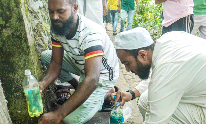 petroleum plant petroleum plant