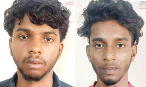 സി​ദ്ധാ​ര്‍ത്ഥ്, കാ​വ്യേ​ഷ്