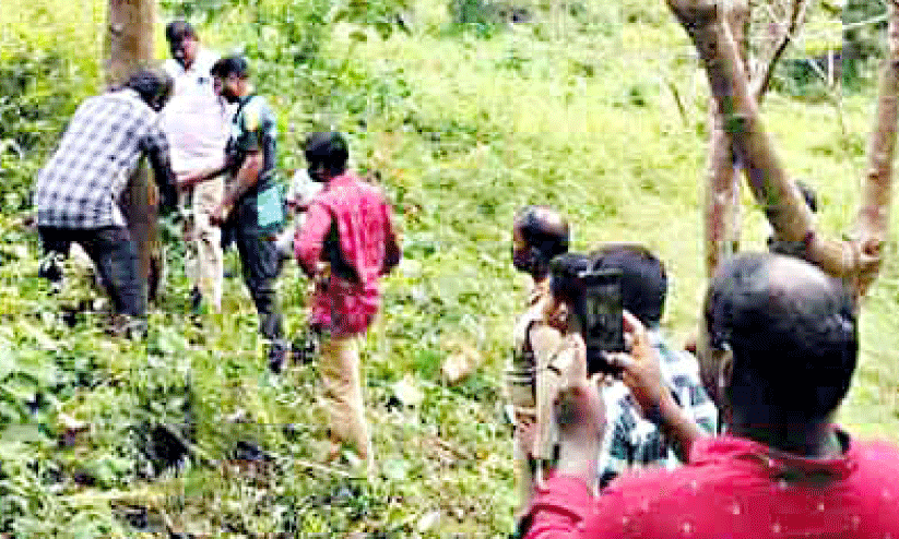 ഇരിയണ്ണിയിൽ പുലി ആക്രമണം; സ്ത്രീ രക്ഷപ്പെട്ടത് തലനാരിഴക്ക് ഇരിയണ്ണിയിൽ പുലി ആക്രമണം; സ്ത്രീ രക്ഷപ്പെട്ടത് തലനാരിഴക്ക്