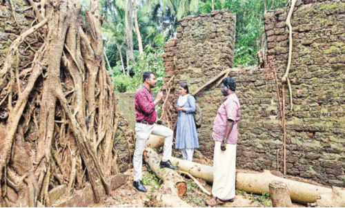 പൊ​ന്നാ​നിയിലെ പു​രാ​ത​ന പാ​ണ്ടി​ക​ശാ​ല സം​ര​ക്ഷ​ിക്കുന്നു