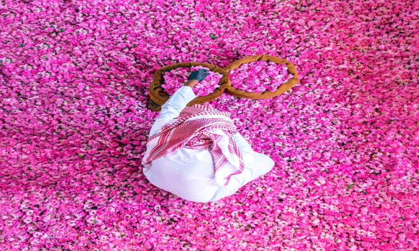 ത്വാഇഫ് റോസാപ്പൂക്കളും മൈലാഞ്ചിയിടൽ ആചാരങ്ങളും യുനെസ്കോ ‘അദൃശ്യ സാംസ്കാരിക പൈതൃക’ പട്ടികയിൽ ത്വാഇഫ് റോസാപ്പൂക്കളും മൈലാഞ്ചിയിടൽ ആചാരങ്ങളും യുനെസ്കോ ‘അദൃശ്യ സാംസ്കാരിക പൈതൃക’ പട്ടികയിൽ