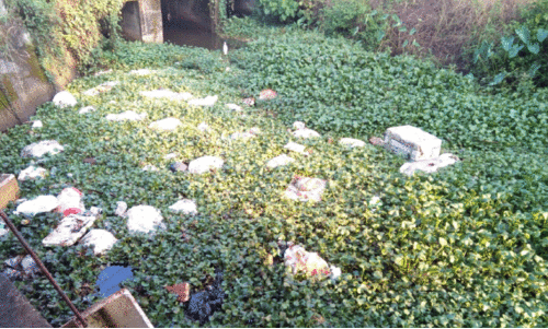 മണിപ്പുഴ തോട്ടിൽ മാലിന്യം തള്ളി