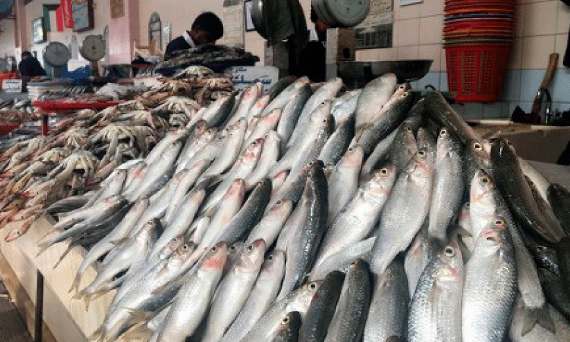 മത്സ്യ മാർക്കറ്റിൽ ലേല നടപടികളിൽ ഭേദഗതി മത്സ്യ മാർക്കറ്റിൽ ലേല നടപടികളിൽ ഭേദഗതി