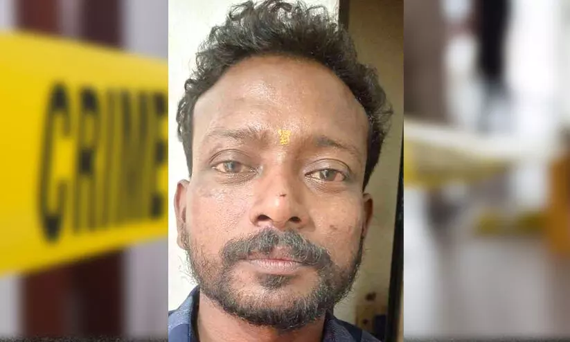 lestin 89787 lestin 89787