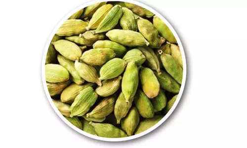 കൊക്കോ വിലക്കയറ്റത്തിലേക്ക്; ഏലം വിപണി സജീവം