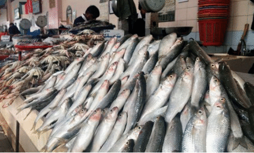 മ​ത്സ്യ മാ​ർ​ക്ക​റ്റി​ൽ ലേ​ല ന​ട​പ​ടി​ക​ളി​ൽ ഭേ​ദ​ഗ​തി