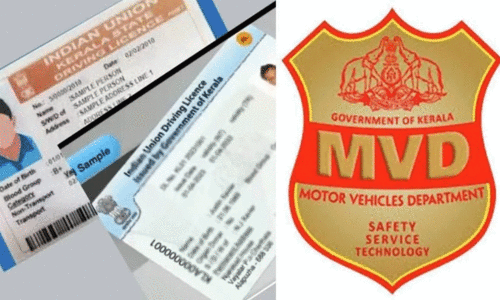 ഇനി ലൈസന്‍സിനും പ്രൊബേഷൻ പിരീഡ്; നന്നായി വണ്ടിയോടിച്ചാൽ മാത്രം യഥാർഥ ലൈസൻസ്‌