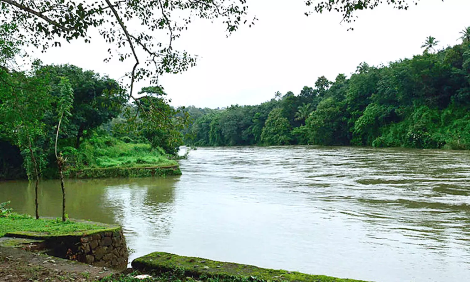 manimala river 89879