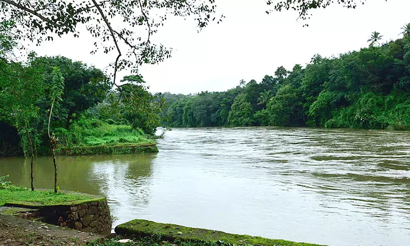 manimala river 89879