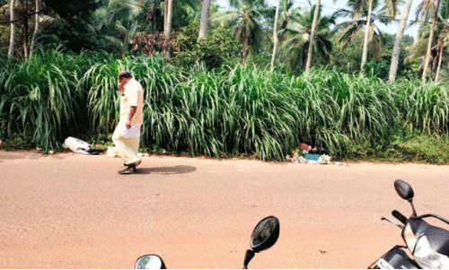 കുറ്റിച്ചല്‍-കോട്ടൂര്‍ റോഡ് കൈയേറി കൃഷി; അപകടം പതിവ്