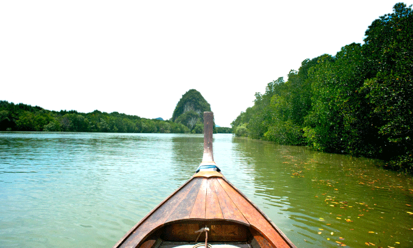 കായൽപരപ്പിൽ ഇത്തിരിനേരം; ക്രിസ്മസെത്തി, കായൽപ്രേമികളും കായൽപരപ്പിൽ ഇത്തിരിനേരം; ക്രിസ്മസെത്തി, കായൽപ്രേമികളും