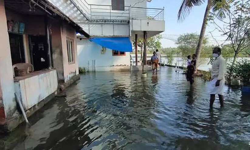 tidal wave tidal wave