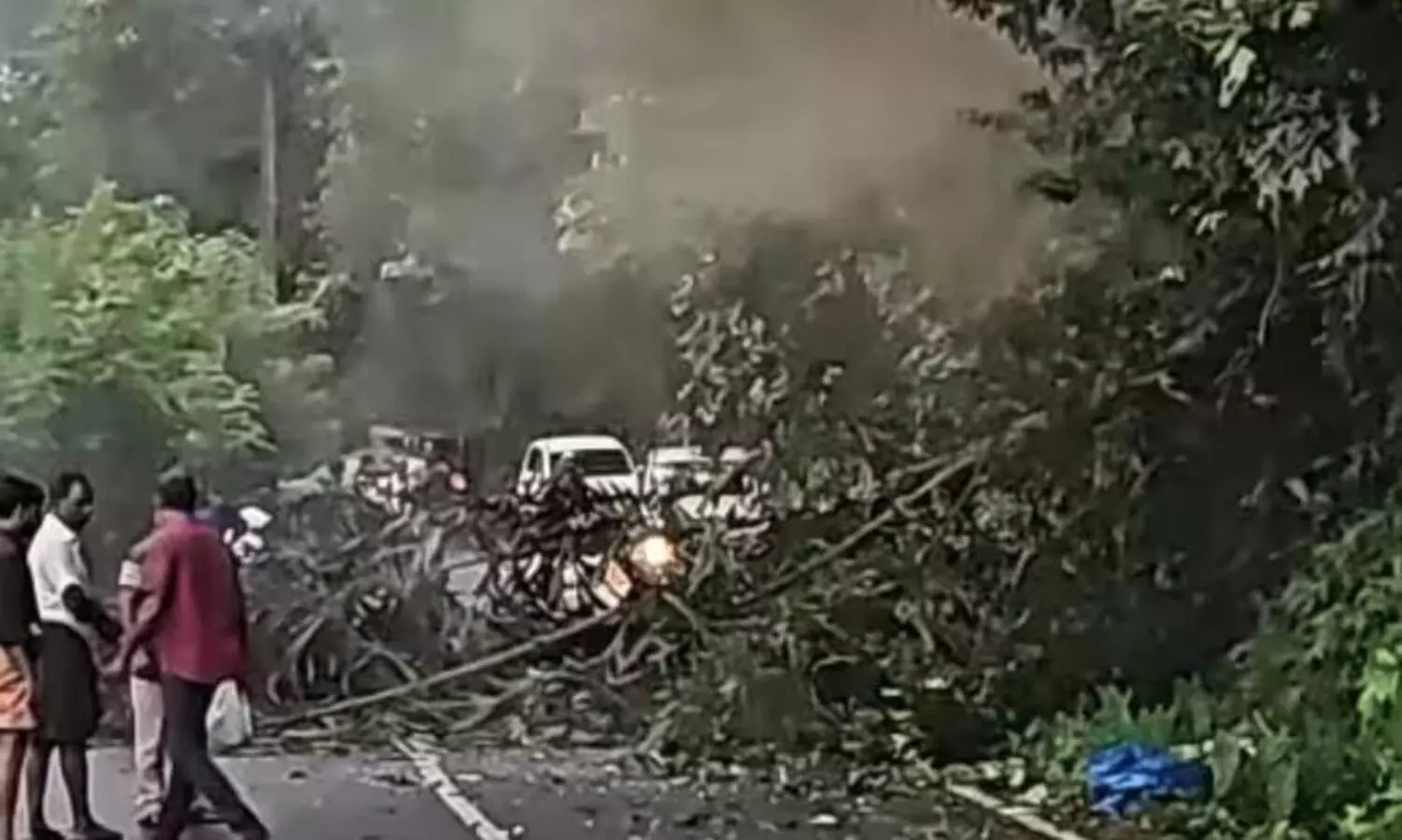കാട്ടാന മറിച്ചിട്ട പന ദേഹത്ത് വീണ് എഞ്ചിനീയറിങ് വിദ്യാര്‍ഥിനിക്ക് ദാരുണാന്ത്യം