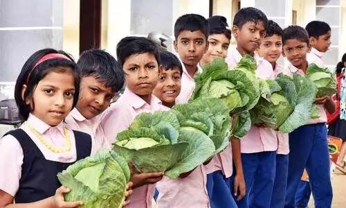 Nutritional security Nutritional security