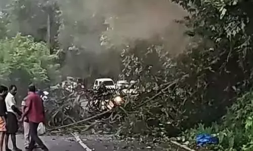 കാട്ടാന മറിച്ചിട്ട പന ദേഹത്ത് വീണ് എഞ്ചിനീയറിങ് വിദ്യാര്‍ഥിനിക്ക് ദാരുണാന്ത്യം