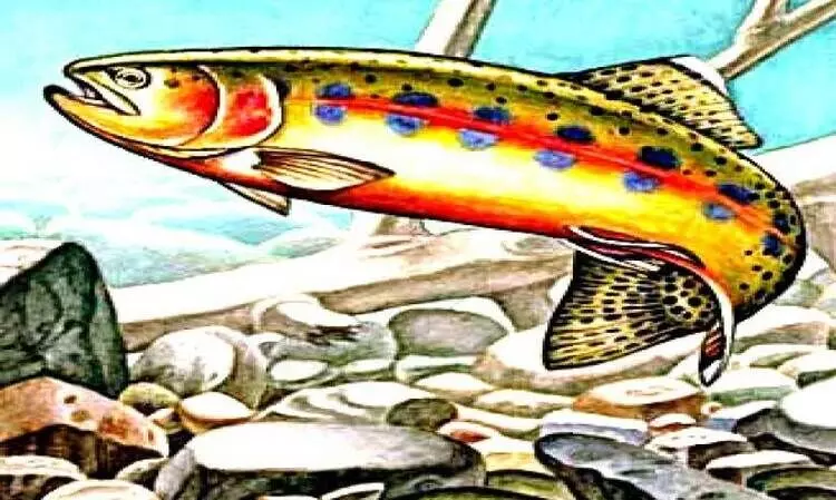 ലൂറും ബുദ്ധിമാനായ   പുലിവാഹയും